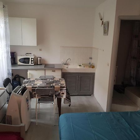 Studio Pour 3 Personnes Au Calme Dans Villa Nice Dış mekan fotoğraf